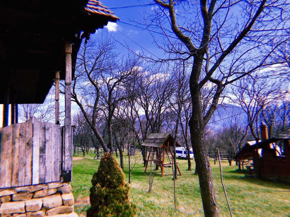 Villa Granny'S House Moisei Esterno foto