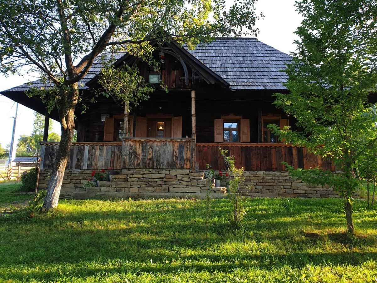 Villa Granny'S House Moisei Esterno foto