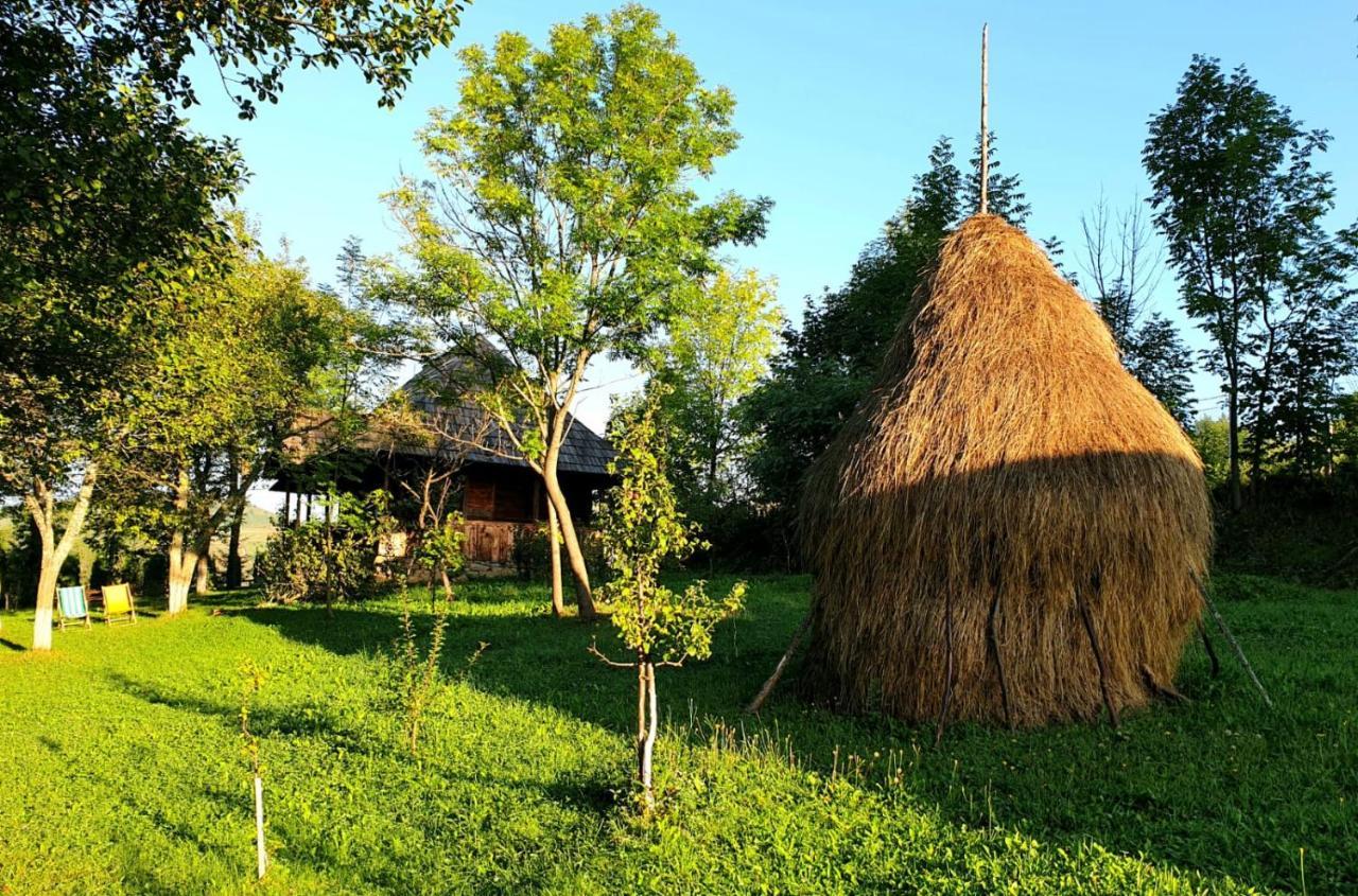 Villa Granny'S House Moisei Esterno foto